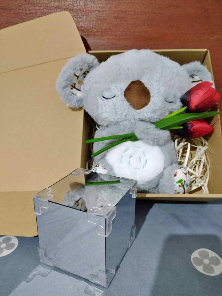 KOALA CON RESPIRACION ARTIFICIAL